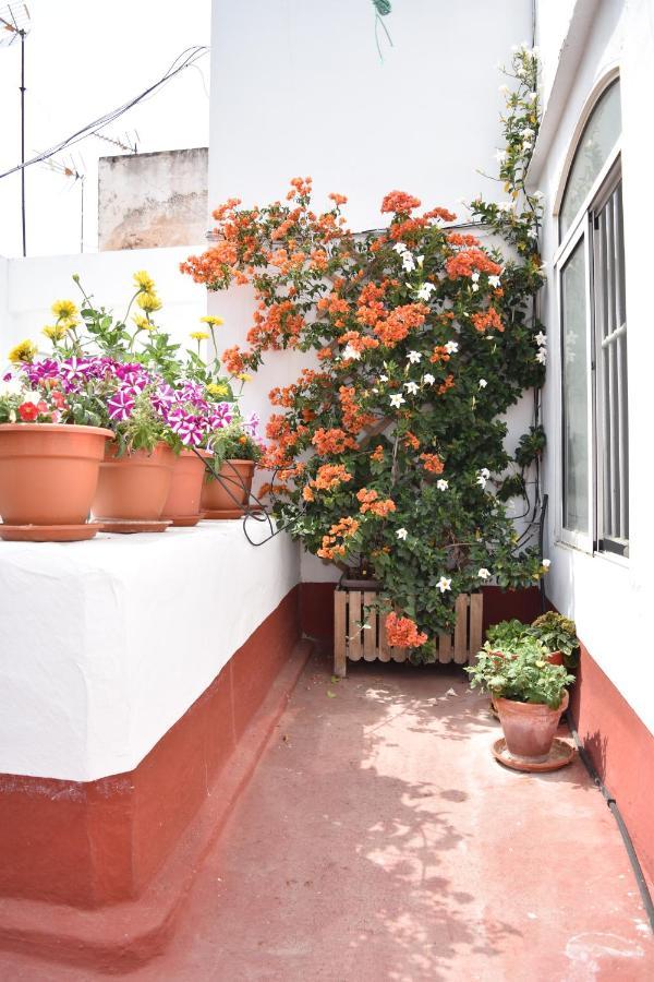 Apartamento La Discusion De Veedor 12 Cádiz Exterior photo